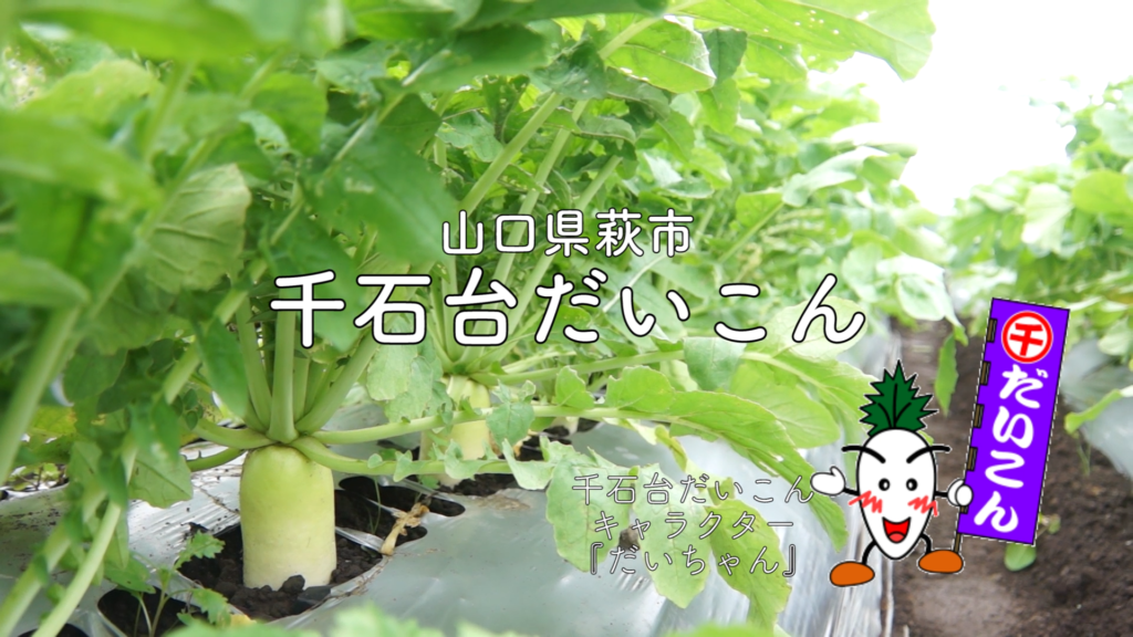 【映像】 阿武・萩地域地産・地消推進協議会「萩市の特産品の動画」を制作しました《山口県萩市》 メインビジュアル