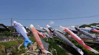 【BGV】 仁保川のこいのぼりのショート動画を制作しました《山口県山口市》