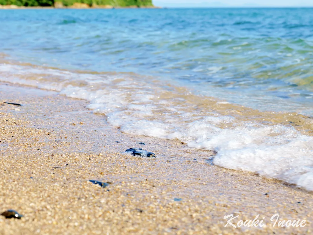 尻川海水浴場