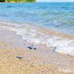 尻川海水浴場