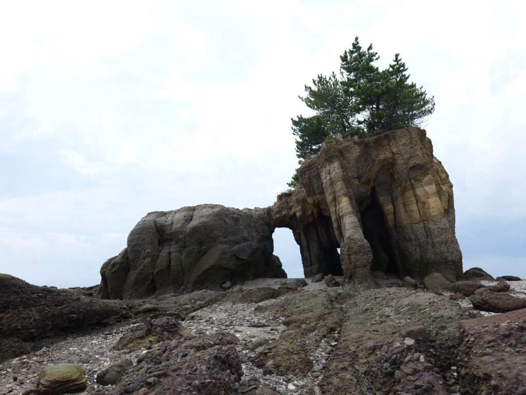 山陽小野田市でホームページ制作をお考えの方へ｜山口県在住フリーランスが中小企業・店舗のWeb制作を担当