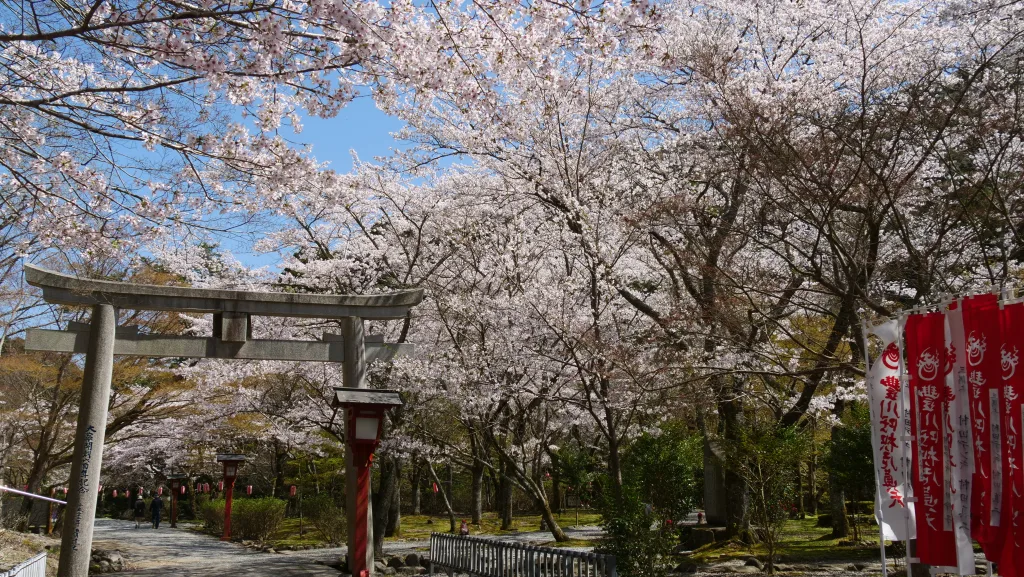 長門市のホームページ制作・動画制作ならkoko.net｜山口県密着のWebディレクターが対応します