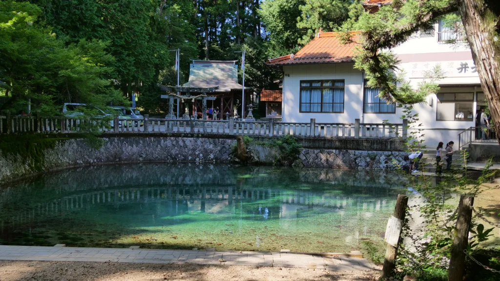 美祢市でホームページ制作をお考えの方へ｜山口県のフリーランスディレクターが対応します