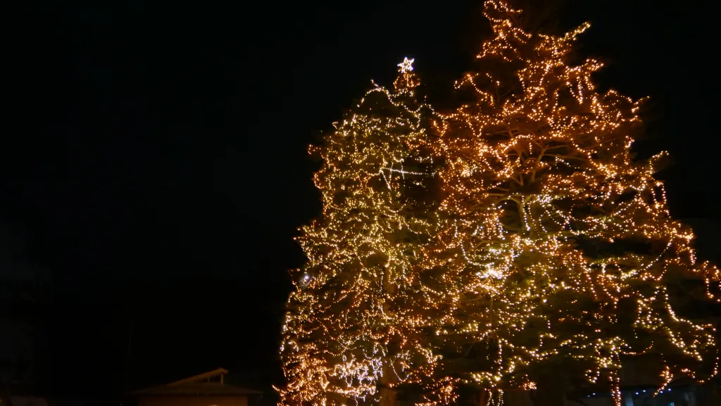 阿東町で動画制作・映像制作をお考えの方へ｜山口県フリーランスが農村・自然PRに対応