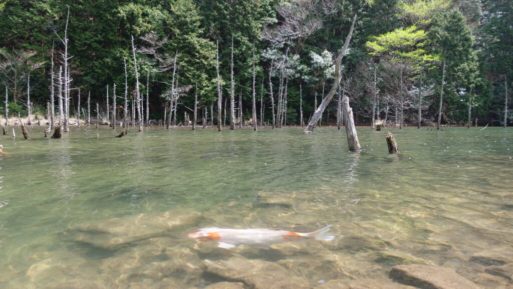 下関市で動画撮影・映像制作をお考えの方へ｜山口県在住フリーランスによる観光・PR動画の撮影・制作