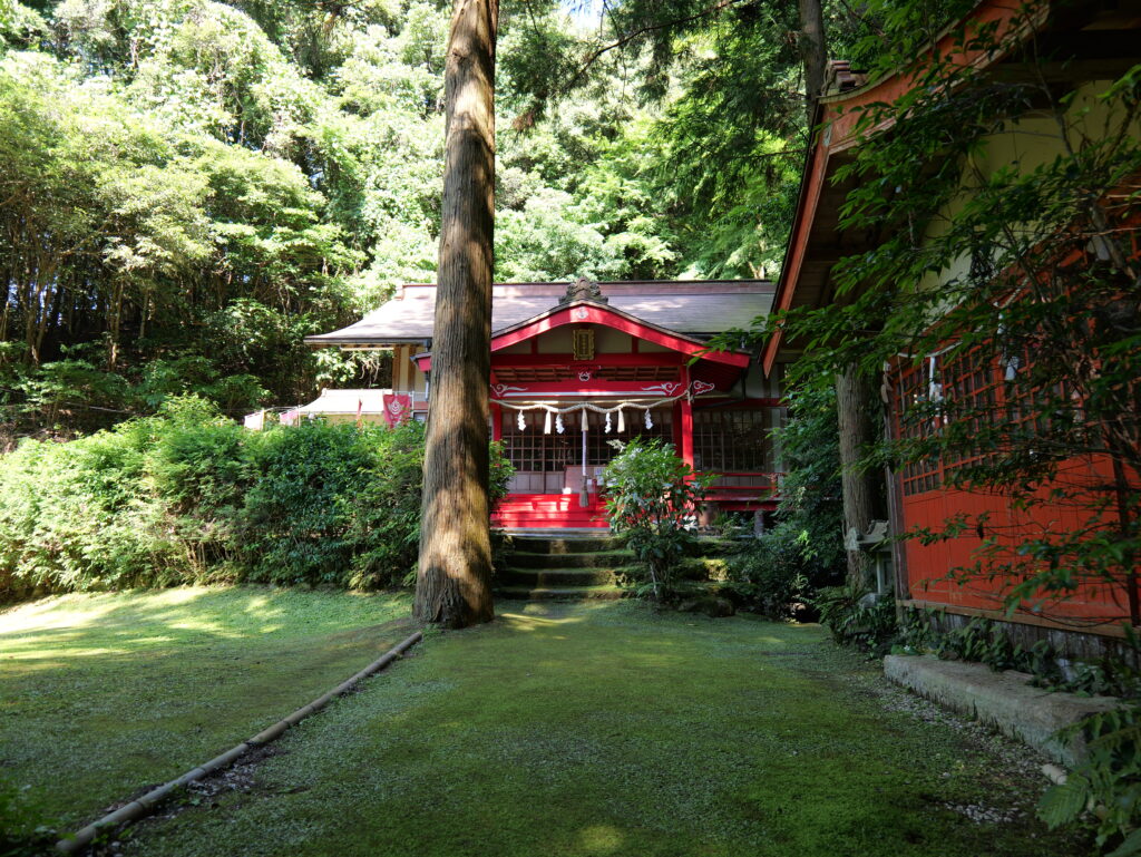 美祢市で動画撮影・映像制作をお考えの方へ|山口県在住フリーランスによる観光・PR動画の撮影・制作